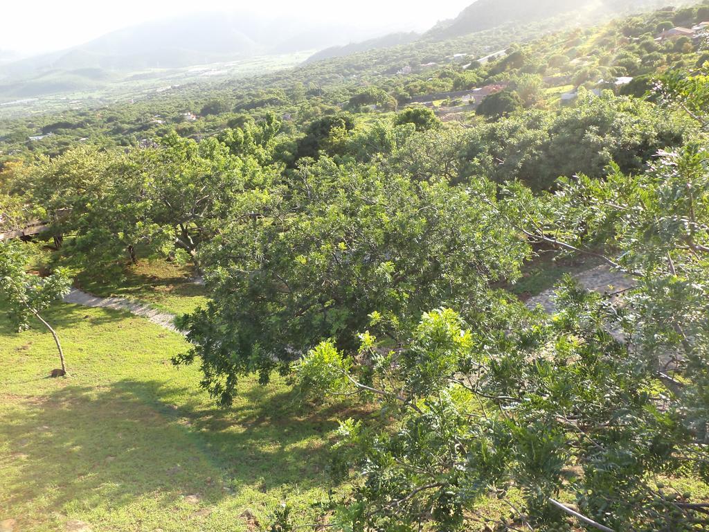 Cabanas El Guarani Tepoztlán Exteriör bild